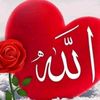 user123029707765675