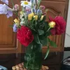 rene.du6