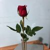mimi.noe63
