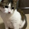 user45692201887051
