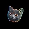 irradiated_cat