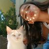 petra_the.cat