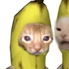 kwaza_iannn