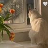 masha_doo2
