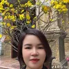 hai.tran8255