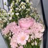 anezhoo891