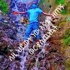 .jemal71