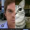 _dexter_._morgan