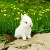 1234_iuvietnamm