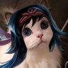 n_mzz23