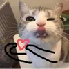 nho.anh1823