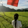 ly_bao_301012
