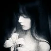 vc.ir1