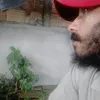 arlindo.pereira24