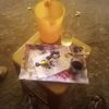 .abu.ibrar
