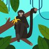 cocosnutz2