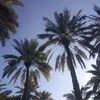 al_ajely