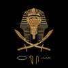 ahmed.mahmoud7342