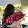 wa_4848