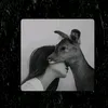 xx.vvkll