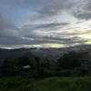 matchalatteventi0