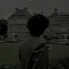 33mran_313