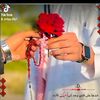 anoabdo5