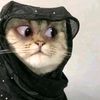 hawa.mahad3