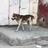 7.o__n