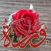 user53625017718232