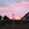tom_bhv2121
