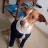 ana.maria.muoz74