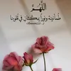 user8086610300520