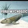 grzybek.grzybek.grzybek