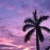 babblegum_1
