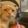 nothingbro111
