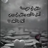aliali.2005