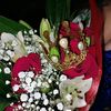 _b.elixa