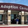 adoption.center2.0