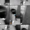 _traumadstu31