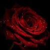 amina.ben292