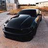 mustang.gt09