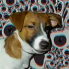 molly_molly_molly_molly_