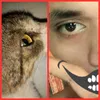 john.kevin.viray8