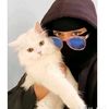 yasmeen13645