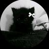 ridika_818