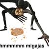 mini_maxi_org_realnofake