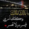 user7976780020747
