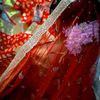 nusrat__jahan___11