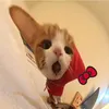 .baokhuyeen